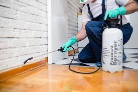 Best Residential Pest Control  in Luling, TX